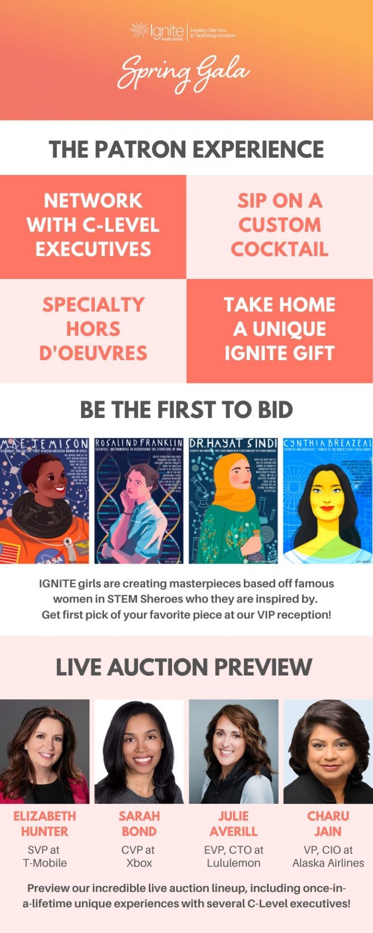 IGNITE VIP Experience Flyer